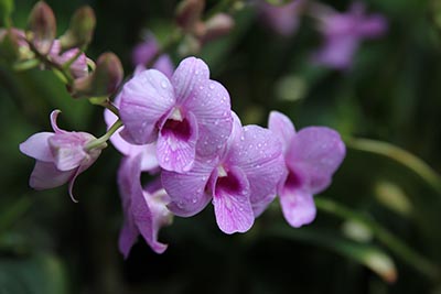 山东省普通高校名单(124所)