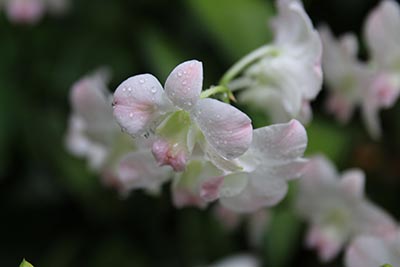 北京2025年高考查分时间 高考成绩公布日期：6月25日