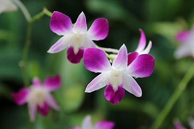 辽宁高考成绩查询入口_2021年辽宁高考查分入口