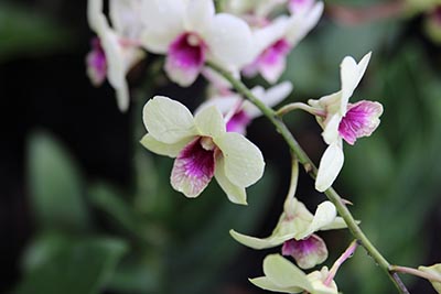 全国200所优质高职院校名单一览表