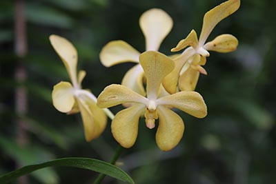 第二轮“双一流”建设高校及建设学科名单更新公布