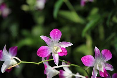 2025年青海高考成绩查询官网入口:青海教育考试网 高考查分官网:https://www.qhjyks.com/