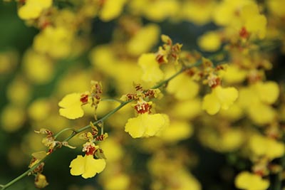 江西2025年高考查分时间 高考成绩公布日期：预计6月25日