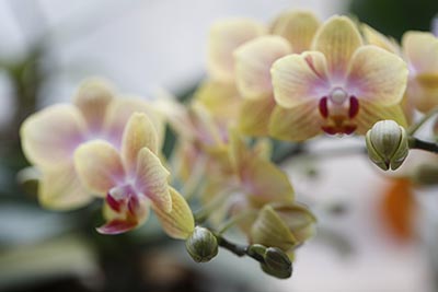 2025年辽宁高考成绩查询官网入口:辽宁招生考试之窗 高考查分官网:https://www.lnzsks.com/