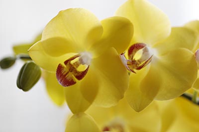 2017年广西高考成绩查询入口