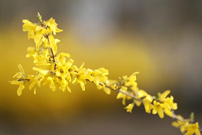 提前批都哪些学校？