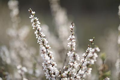 300多分能上什么大学？2025年高考低分能上哪些大学？