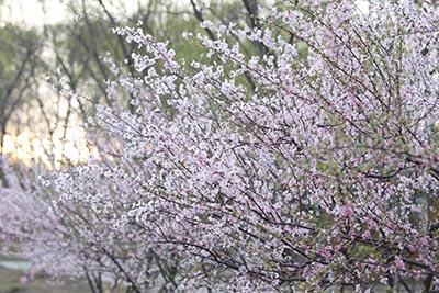 北京2023年艺考成绩查询入口高考艺术类专业统考成绩查询