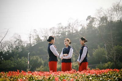 河南2025年高考查分时间 高考成绩公布日期：6月25日