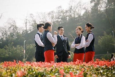 大学学校代码查询